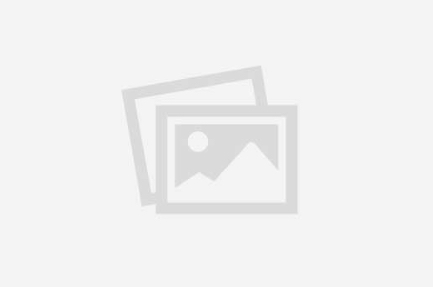 Uncategorized
